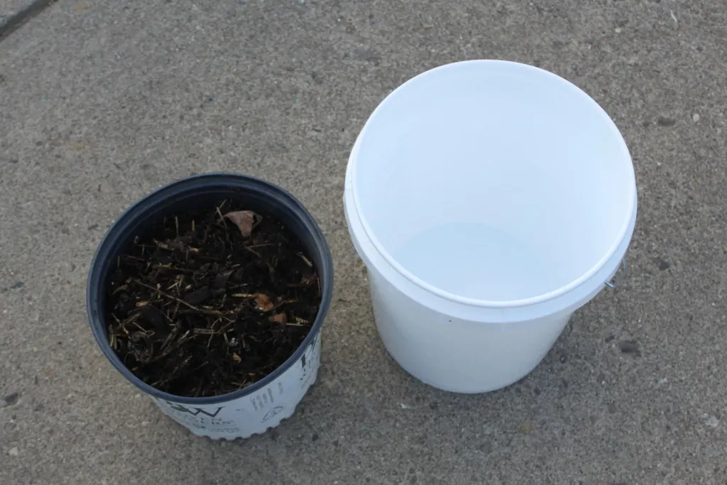 All you need to make your own compost tea is a couple of shove fulls of compost, A 5 gallon bucket and water