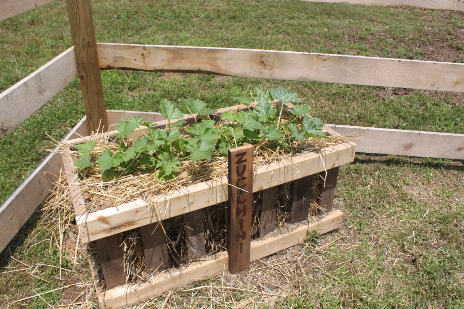 The Straw Bale Pallet Crate Garden Simple, Attractive And Cheap