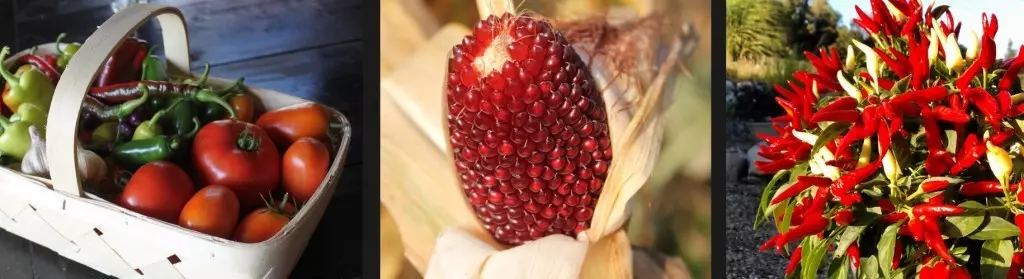 Great Big Home + Garden Show 