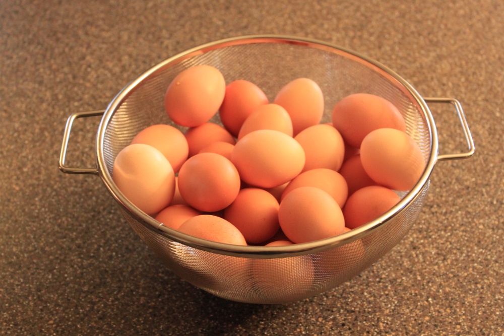 Composting 101 - Tips To Make Easy Compost Fast!