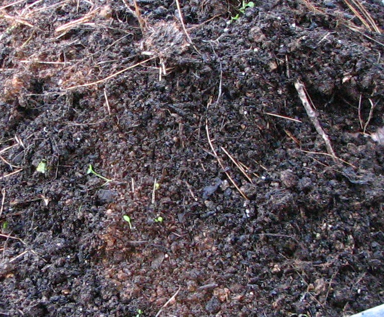 How To Make Great Compost - A Garden Must! - Old World Garden Farms