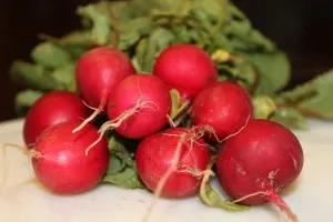 Radishes are an excellent companion planting for many vegetables grown in the garden