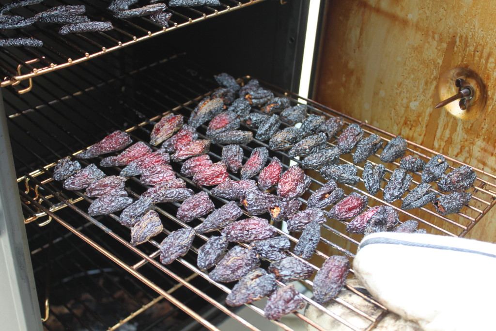 The Heat Is On! Making Fresh Homemade Spices For Chili, Taco's, Pizza ...