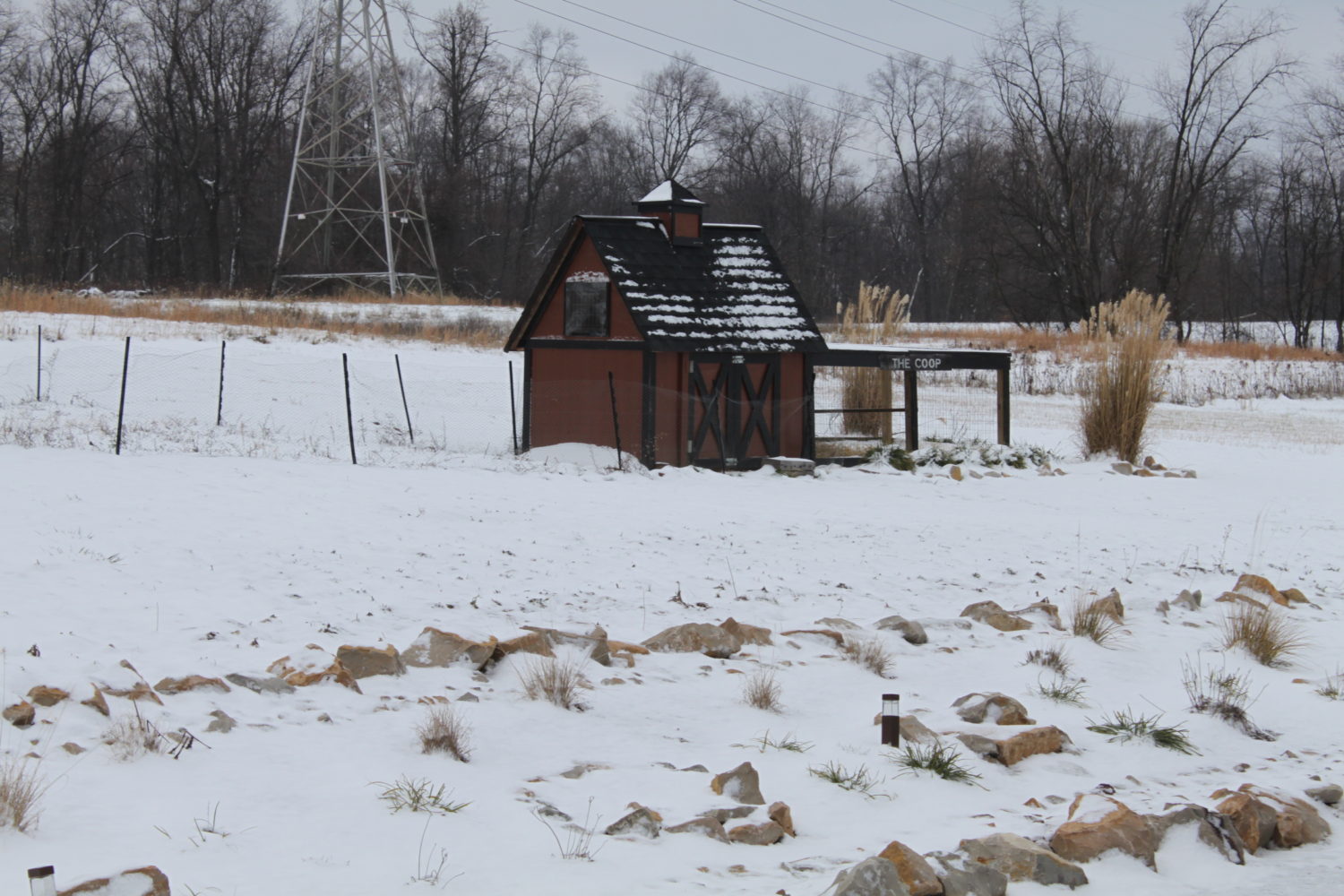 chicken coop in the winter Old World Garden Farms