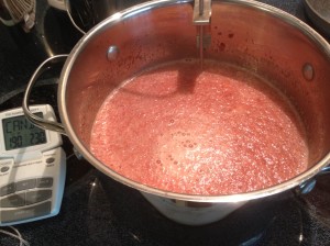 Home Made Strawberry Daiquiri Mix 