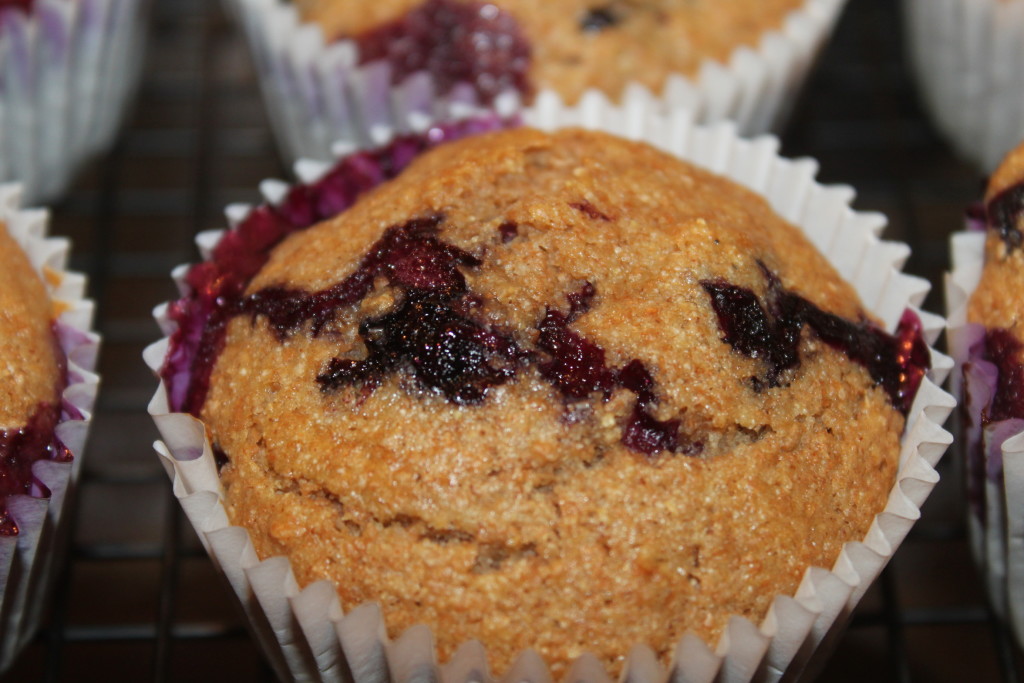 Whole Wheat Blueberry Muffin Recipe A Great Use For Fresh Blueberries