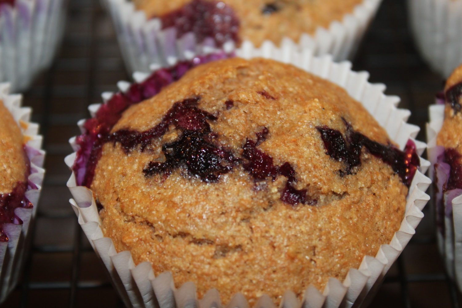 Whole Wheat Blueberry Muffin Recipe A Great Use For Fresh Blueberries