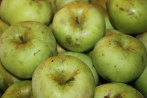 Using seconds of the apple crop is an economical way to make your own applesauce