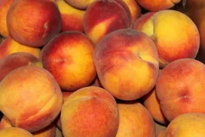 After boiling, immediately stop the cooking process by placing the peaches in an ice water bath