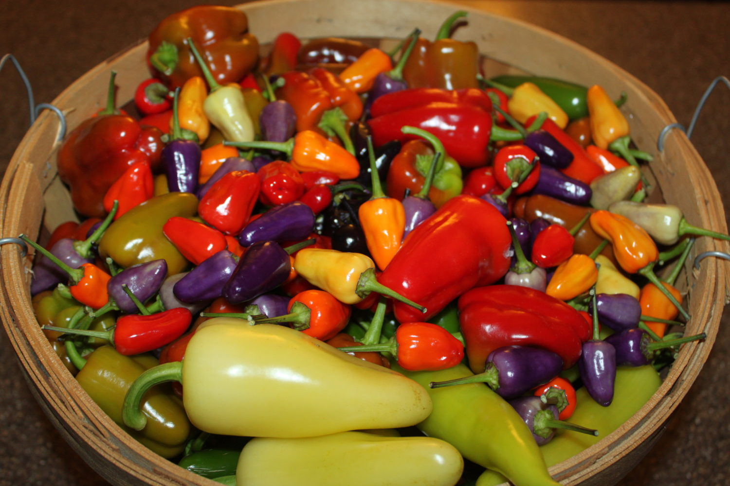 How To Use All Of Those Fresh Garden Peppers In The Kitchen