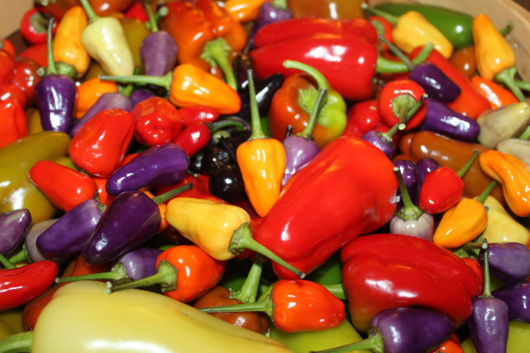 How To Use All Of Those Fresh Garden Peppers In The Kitchen