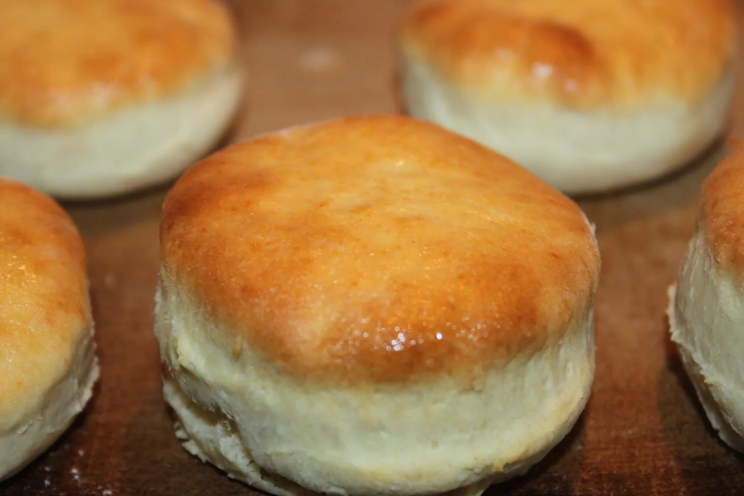 Homemade Biscuit Recipe