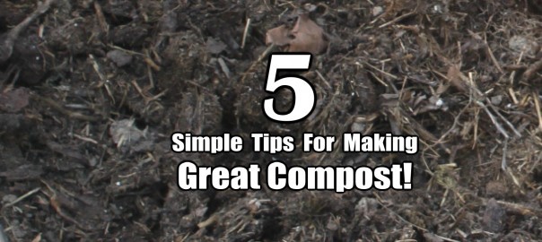 Index of /wp-content/uploads/2015/01