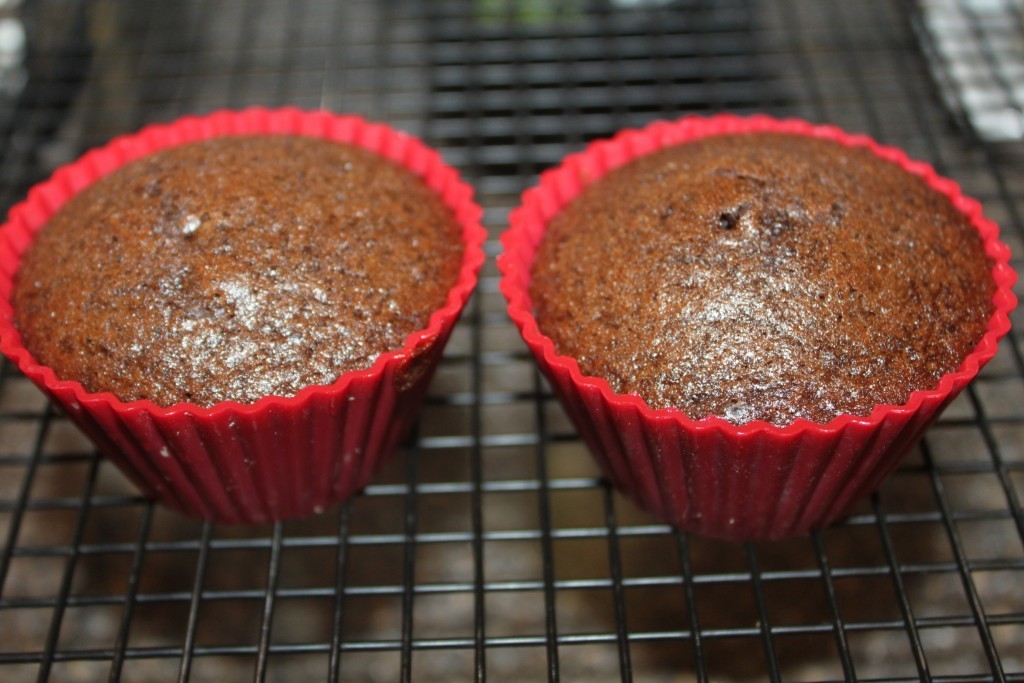 Chocolate cupcakes for two!