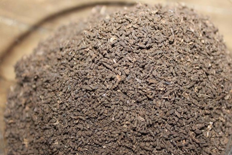 worm castings