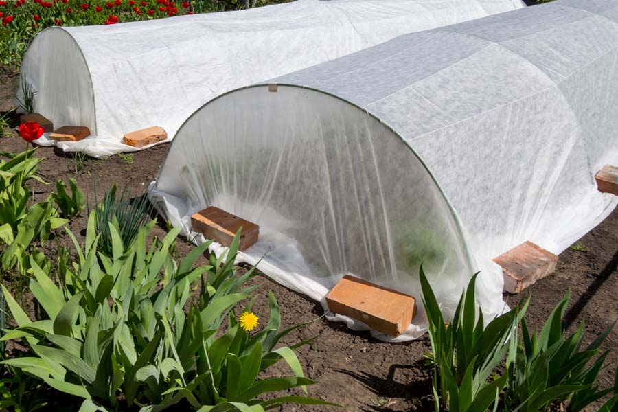 Using Row Covers To Protect The Garden From Pests And Frost