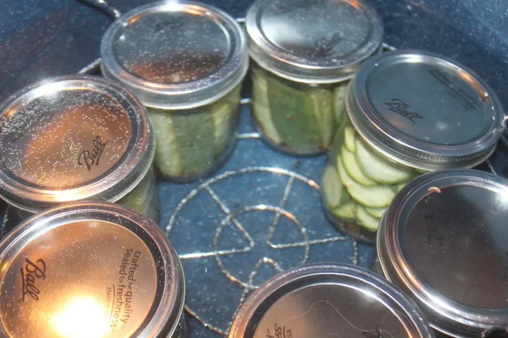crispy dill pickle recipe