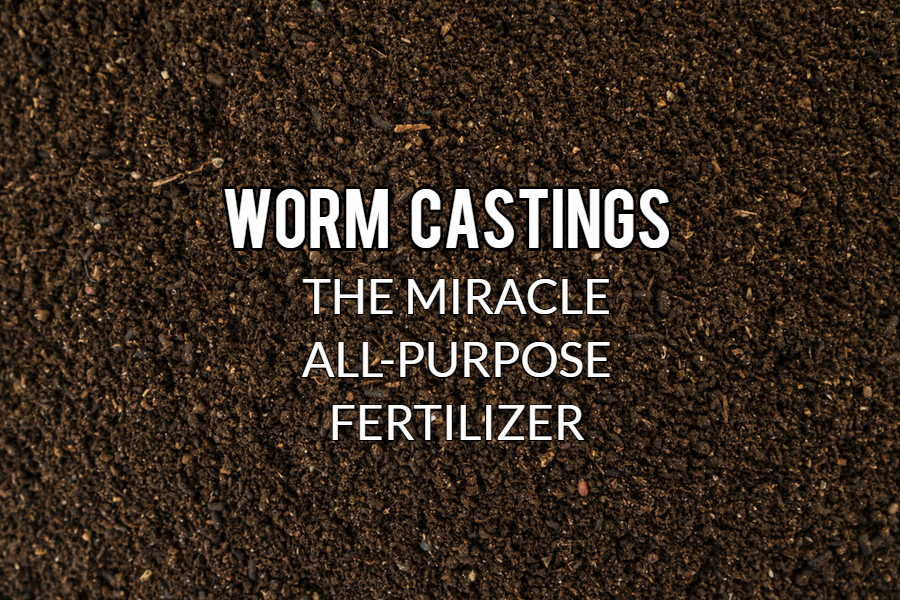 download best worm castings