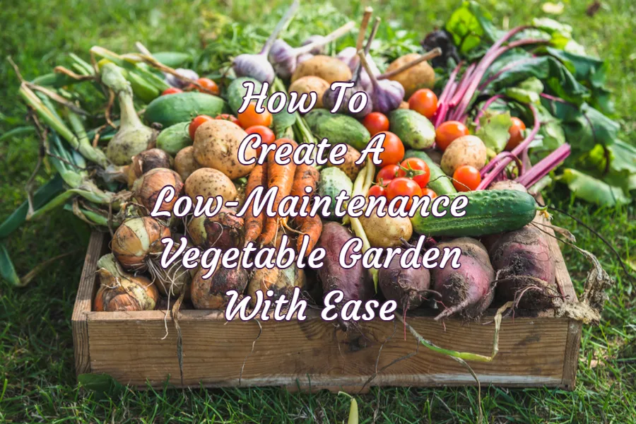 low-maintenance vegetable garden