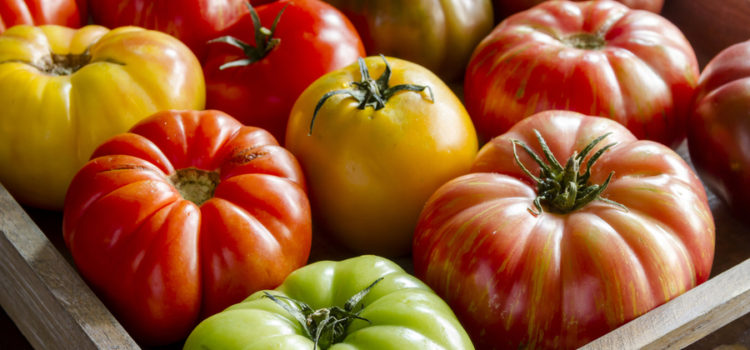 heirloom tomato varieties Archives - Old World Garden Farms