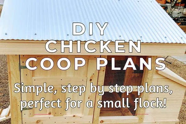 small flock chicken coop plans