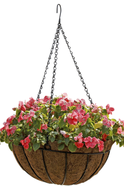 How To Plant, Grow & Maintain Gorgeous Homemade Hanging Baskets