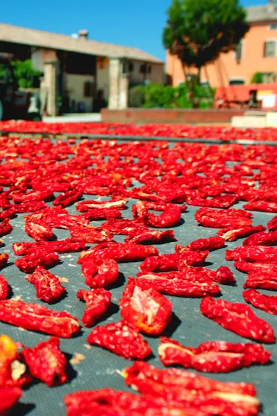 tomatoes sun drying 