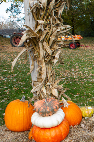 How To Create An Incredible Compost Pile From Fall Decorations!