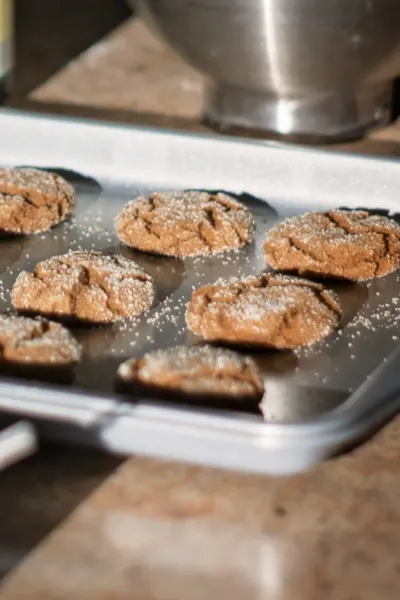 molasses cookies on baking sheet 
