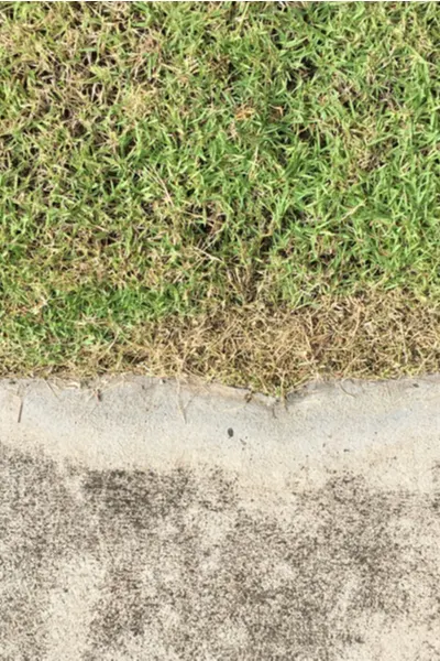 damage to lawns