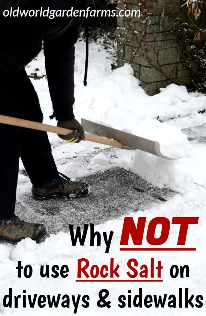 Why Not To Use Rock Salt On Sidewalks And Driveways In The Winter