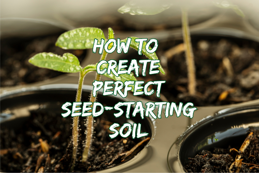 seed starting soil