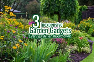 3 Simple, Inexpensive Garden Gadgets Every Gardener Should Own!