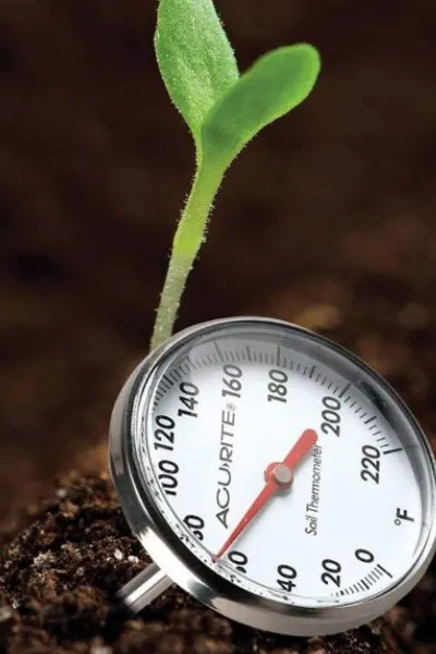 garden gadgets - soil thermometer