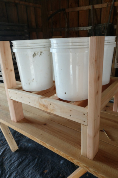 DIY 5 Gallon Bucket Planter Boxes - An Incredible New Way To Grow!