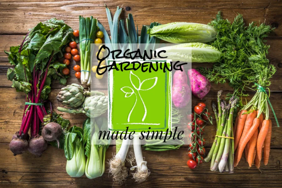organic gardening made simple