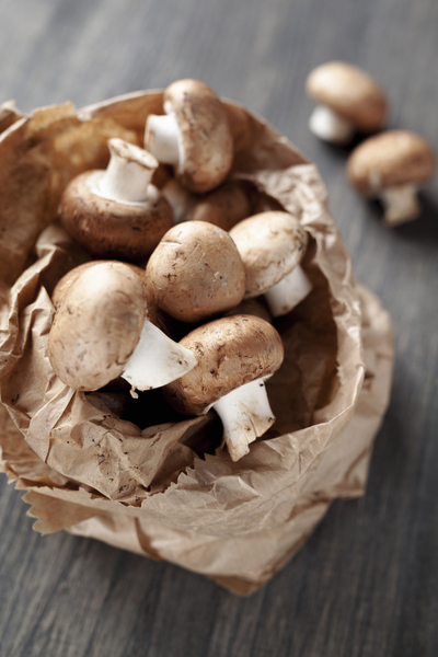 storing mushrooms 