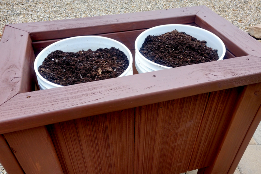 How To Grow In 5 Gallon Buckets - A Simple Way To Garden Anywhere!