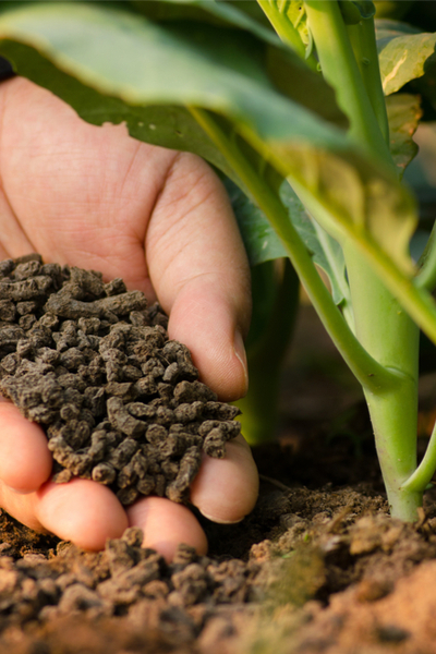 compost pellet fertilizer
