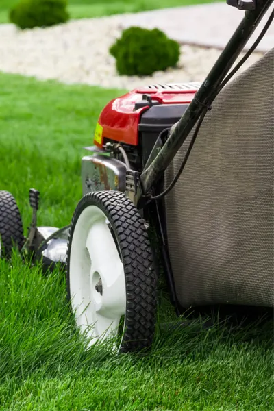 secrets to a great lawn