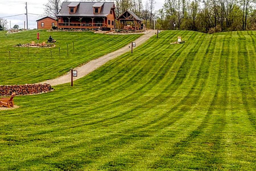 7 Simple Secrets To A Great Lawn - Without Using Chemicals & Sprays!
