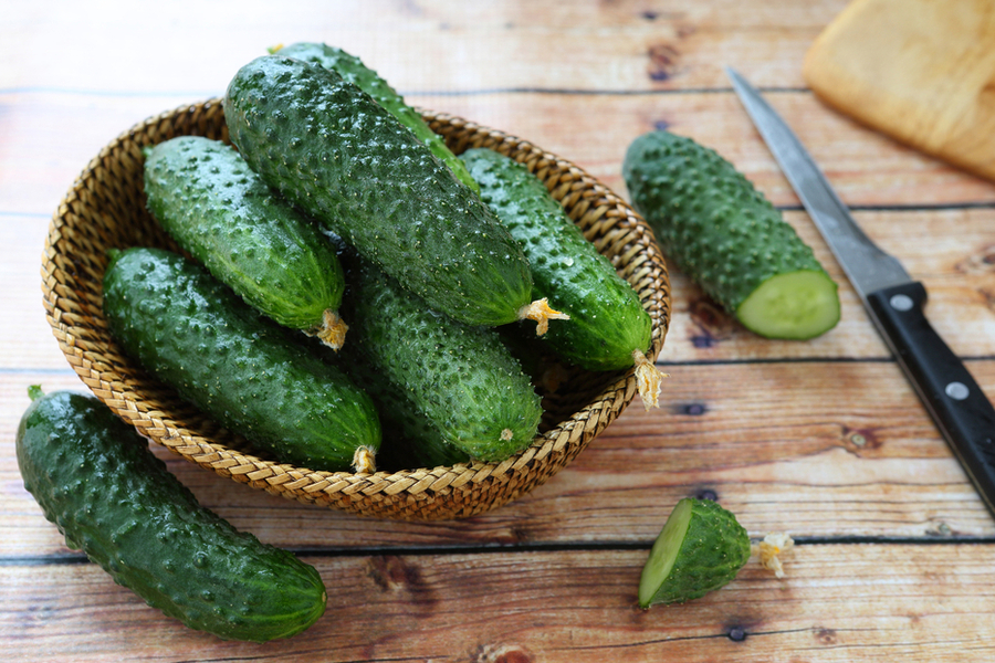 pickling cucumber 
