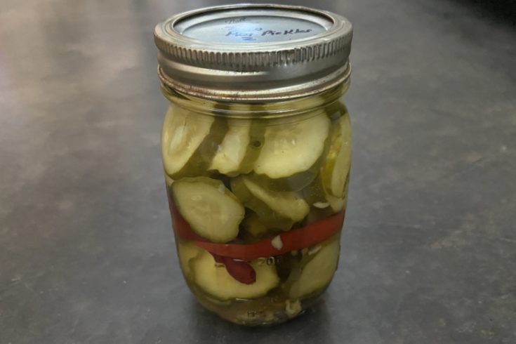 hot & spicy pickles