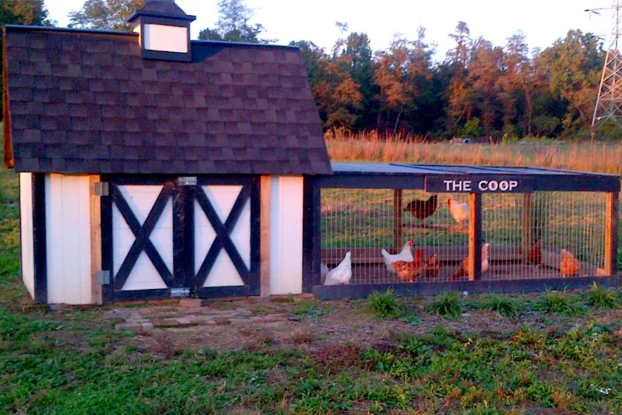 the first chicken coop