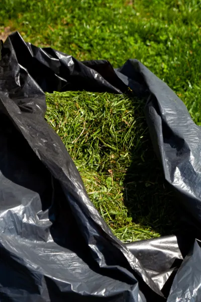 grass clippings - fall compost pile