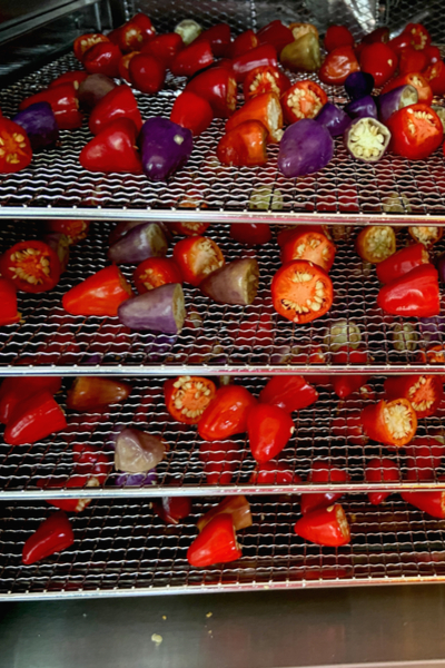 dehydrator paprika