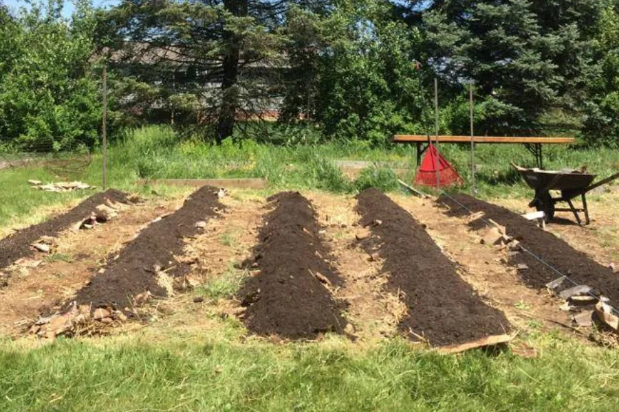 setting up a raised row garden