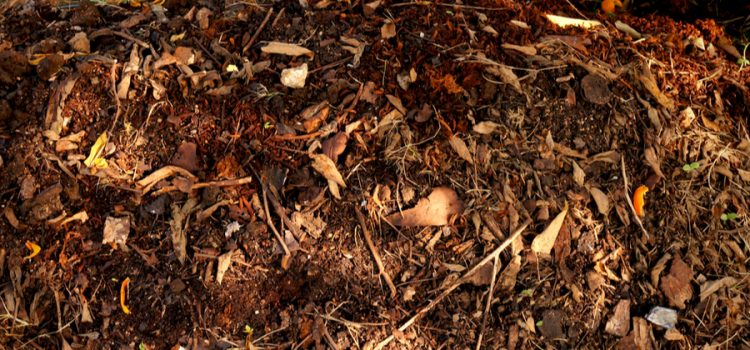 how to make compost from leaves