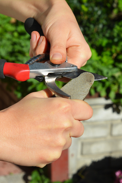 preparing garden tools
