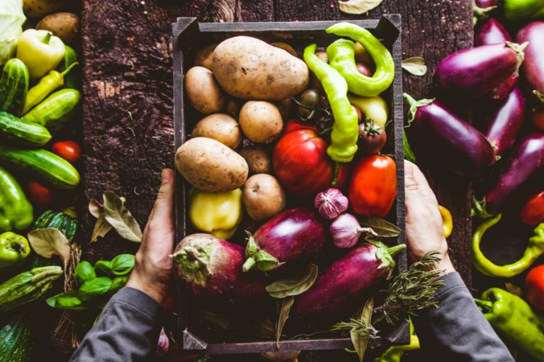 how to grow an organic garden